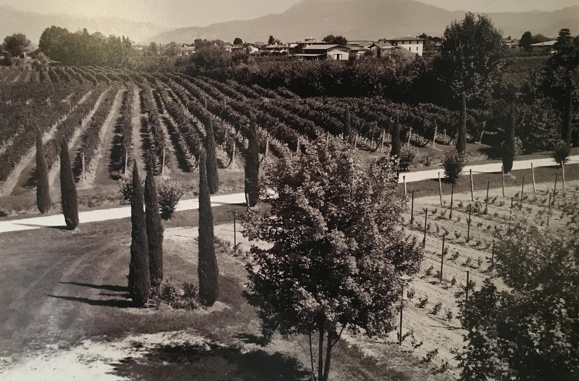 Casello Bondoni - Territorio